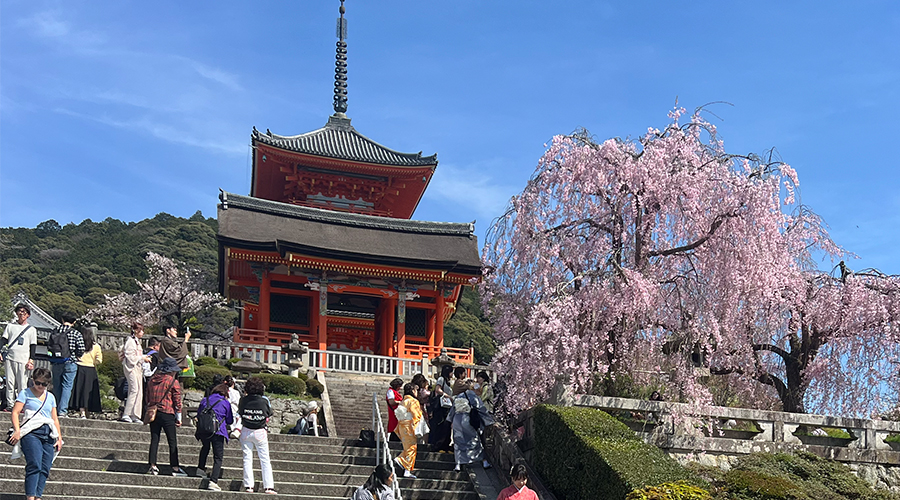 S�per Ekonomik Japonya